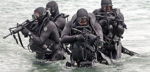 seals