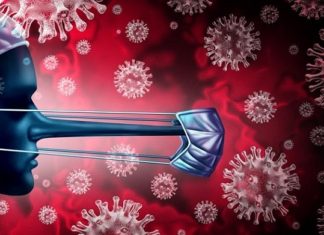 Phantom Virus: In search of Sars-CoV-2