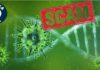 The virus that isn’t there, genetic sequencing, and the magic trick